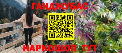 гидра Можайск