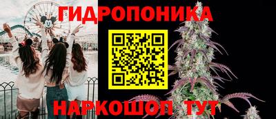 спайс Моздок