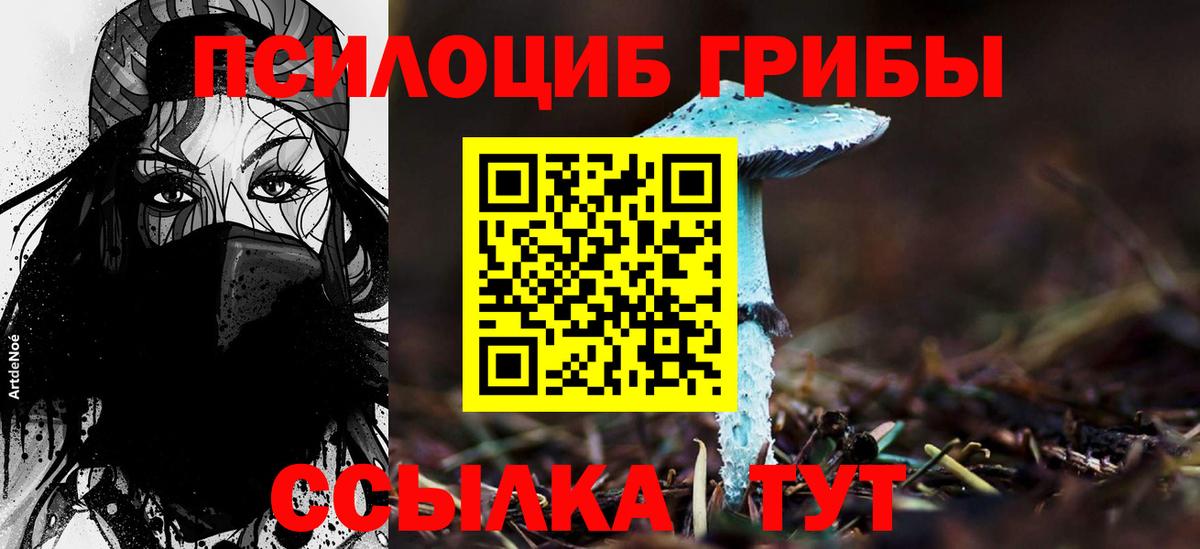 Псилоцибиновые грибы мухоморы Чебаркуль